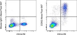 COX2 Monoclonal Antibody (COX 229), Alexa Fluor 647, eBioscience , Invitrogen:Antibodies:Primary