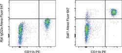 Sall1 Monoclonal Antibody (NRNSTNX), Alexa Fluor 647, eBioscience , Invitrogen:Antibodies:Primary