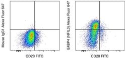 Invitrogen E4BP4 (NFIL3) Monoclonal Antibody (MABA223), Alexa Fluor 647,