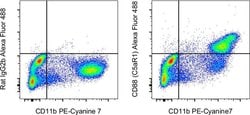Invitrogen CD88 (C5aR1) Monoclonal Antibody (20/70), Alexa Fluor 488, eBioscience