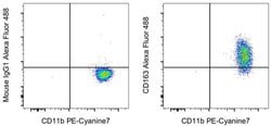 Invitrogen CD163 Monoclonal Antibody (MAC 2-158), Alexa Fluor 488, eBioscience