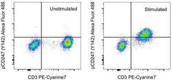 Phospho-CD247 (CD3 zeta) (Tyr142) Monoclonal Antibody (3ZBR4S), Alexa Fluor