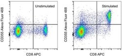 Invitrogen CD355 (CRTAM) Monoclonal Antibody (Cr24.1), Alexa Fluor 488,
