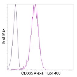 Invitrogen CD365 (Tim-1) Recombinant Rabbit Monoclonal Antibody (P365D),