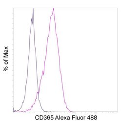 Invitrogen CD365 (Tim-1) Recombinant Rabbit Monoclonal Antibody (P365D),