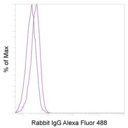 Invitrogen™ Rabbit IgG Recombinant Isotype Control (RbNP15), Alexa Fluor™ 488, eBioscience™