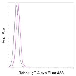 Rabbit IgG Isotype Control (RbNP15), Alexa Fluor™ 488, eBioscience™, Invitrogen™