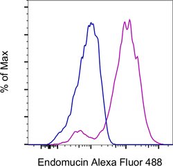 Endomucin Monoclonal Antibody (eBioV.7C7 (V.7C7)), Alexa Fluor 488, eBioscience