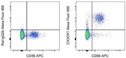 CX3CR1 Monoclonal Antibody (2A9-1), Alexa Fluor 488, eBioscience , Invitrogen:Antibodies:Primary
