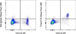 Invitrogen Tmem119 Monoclonal Antibody (V3RT1GOsz), Alexa Fluor 488, eBioscience