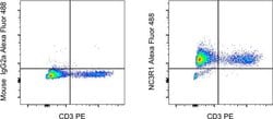 Glucocorticoid receptor (NR3C1) Monoclonal Antibody (BuGR2), Alexa Fluor&trade; 488, eBioscience&trade;, Invitrogen&trade;