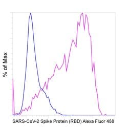 Invitrogen SARS-CoV-2 Spike Protein (RBD) Recombinant Human Monoclonal