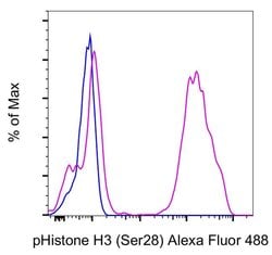 Invitrogen Phospho-Histone H3 (Ser28) Monoclonal Antibody (HTA28), Alexa
