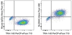 NLGN4X (Neuroligin-4) Monoclonal Antibody (CSTEM30), Alexa Fluor 488, eBioscience
