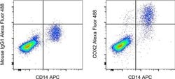 COX2 Monoclonal Antibody (COX 229), Alexa Fluor 488, eBioscience , Invitrogen:Antibodies:Primary