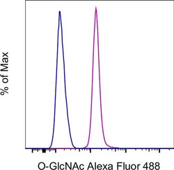 O-GlcNAc Monoclonal Antibody (RL2), Alexa Fluor 488, eBioscience , Invitrogen:Antibodies:Primary
