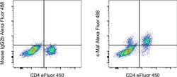 Invitrogen c-MAF Monoclonal Antibody (sym0F1), Alexa Fluor 488, eBioscience:Antibodies:Primary