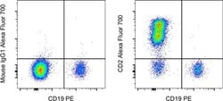 CD2 Monoclonal Antibody (RPA-2.10), Alexa Fluor&trade; 700, eBioscience&trade;, Invitrogen&trade;