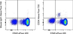 CD34 Monoclonal Antibody (4H11), Alexa Fluor 700, eBioscience , Invitrogen:Antibodies:Primary
