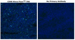 CD68 Monoclonal Antibody (KP1), Alexa Fluor&trade; 700, Invitrogen&trade;