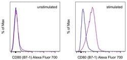 Invitrogen CD80 (B7-1) Monoclonal Antibody (16-10A1), Alexa Fluor 700,