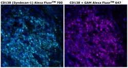 Invitrogen&trade;&nbsp;CD138 Monoclonal Antibody (MI15), Alexa Fluor&trade; 700