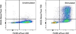 iNOS Monoclonal Antibody (CXNFT), Alexa Fluor&trade; 700, eBioscience&trade;, Invitrogen&trade;