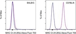 Invitrogen MHC Class I (H-2Kb) Monoclonal Antibody (AF6-88.5.5.3), Alexa