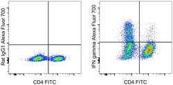 Invitrogen IFN gamma Monoclonal Antibody (XMG1.2), Alexa Fluor 700, eBioscience
