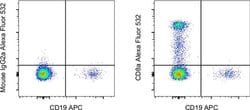 CD8a Monoclonal Antibody (OKT8 (OKT-8)), Alexa Fluor 532, eBioscience ,
