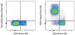 CD24 Monoclonal Antibody (M1/69), Alexa Fluor 532, eBioscience , Invitrogen:Antibodies:Primary