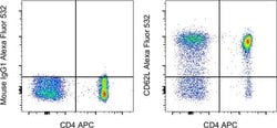 CD62L (L-Selectin) Monoclonal Antibody (DREG-56 (DREG56)), Alexa Fluor