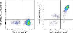 Invitrogen F4/80 Monoclonal Antibody (BM8), Alexa Fluor 532, eBioscience:Antibodies:Primary