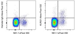 Invitrogen KLRG1 Monoclonal Antibody (2F1), Alexa Fluor 532, eBioscience