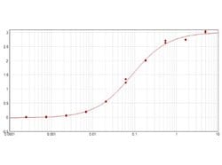 GST Polyclonal Antibody, Rockland:Antibodies:Primary Antibodies