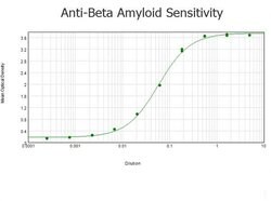 beta Amyloid Polyclonal Antibody, Rockland:Antibodies:Primary Antibodies