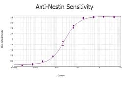 Nestin Polyclonal Antibody, Rockland:Antibodies:Primary Antibodies