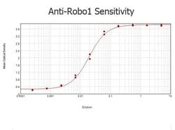 ROBO-1 Polyclonal Antibody, Rockland:Antibodies:Primary Antibodies