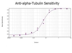alpha-Tubulin Polyclonal Antibody, Rockland 200 &mu;g; Unconjugated:Antibodies,