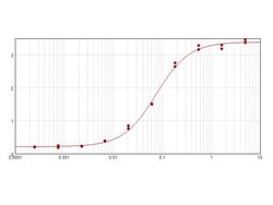 Cyclin D3 Polyclonal Antibody, Rockland:Antibodies:Primary Antibodies
