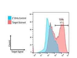 TGF beta Receptor 1 Polyclonal Antibody, Rockland 25 &mu;L; Unconjugated:Antibodies,