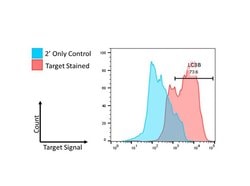 LC3B Polyclonal Antibody, Rockland 100 &mu;g | Buy Online | Rockland Immunochemicals | Fisher Scientific