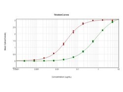 CREBBP Polyclonal Antibody, Rockland 25 μL; Unconjugated:Antibodies,