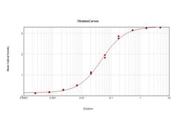 Bacteriophage M13 Polyclonal Antibody, Rockland 100 &mu;g; Unconjugated:Antibodies,