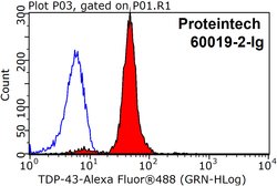 TDP-43 Mouse anti-Human, Clone: 6H6E12, Proteintech 150 &mu;L; Unconjugated:Antibodies,