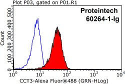 CCT3 Mouse anti-Human, Mouse, Clone: 5F5A6, Proteintech 150 &mu;L; Unconjugated:Antibodies,