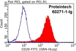 CD20 Mouse anti-Human, Clone: 4A7G3, Proteintech:Antibodies:Primary Antibodies