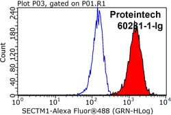 SECTM1 Mouse anti-Human, Clone: 1C11B4, Proteintech:Antibodies:Primary