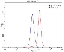 CD45 Mouse anti-Human, Porcine, Clone: 4E9B2, Proteintech:Antibodies:Primary
