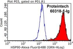 HSP90 Mouse anti-Human, Mouse, Porcine, Rat, Clone: 3F11C1, Proteintech:Antibodies:Primary